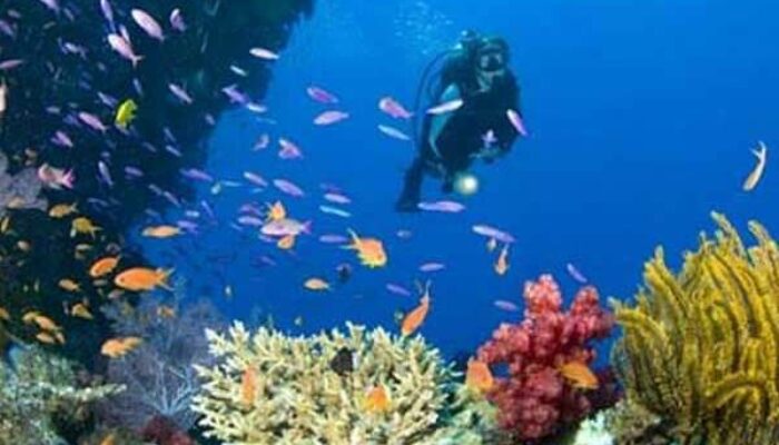 Surga Bawah Laut Indonesia Dieksplorasi di ADEX Singapura