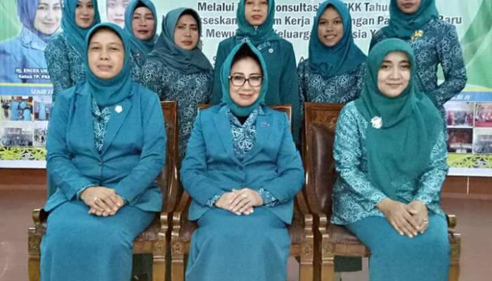 Bunda Encek UR Firgasih, Akselerasi Program PKK Butuh Perfoma Lembaga yang Solid