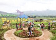 Ini Ada Desa Wisata Keren di Pujon Kulon Malang