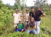 Jelang Ramadlan, Kader Banser Ansor Kongbeng Adakan Kerja Bakti Membersihkan Lahan NU