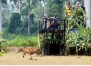 Hutan Miliki Fungsi Strategis Menunjang Kecakapan TNI