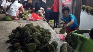 Musim Durian Tiba, Penjual Durian Pinggir Jalan Sangatta Laris Manis