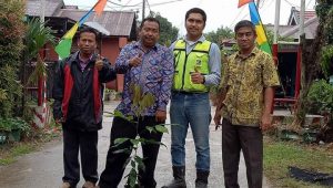 Bentuk Kampung Iklim Kaswari, PT Pamapersada Sumbang 500 Bibit Pohon
