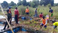 Karang taruna Hang Tuah Desa Muara Bengkal Ulu, Kecamatan Muara Bengkal Gotong Royong Membersihkan Keramba untuk Budidaya Ikan